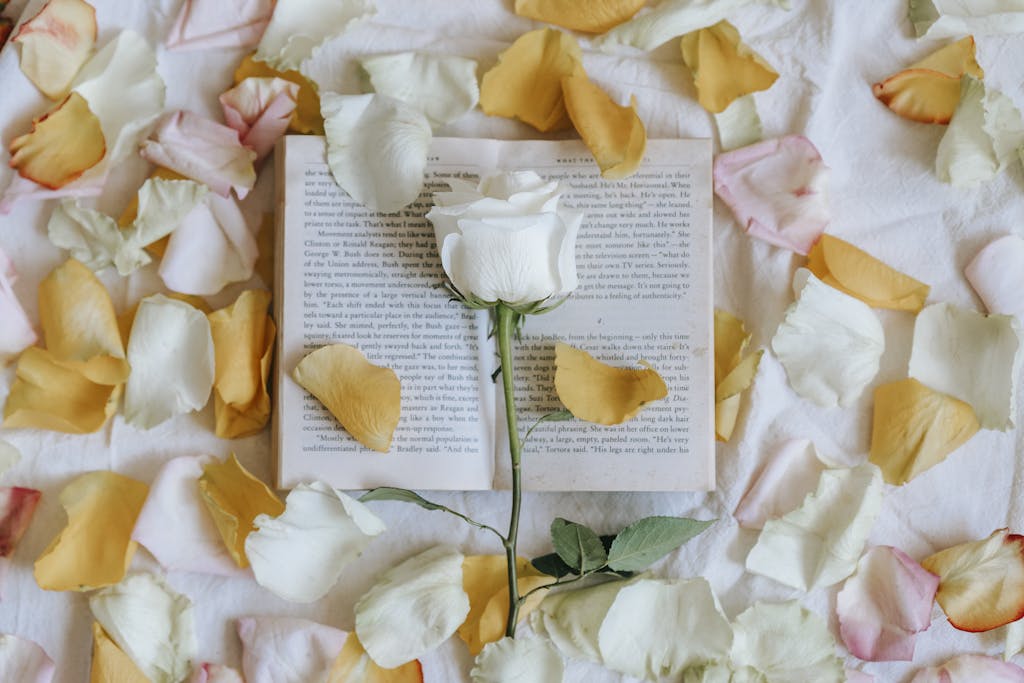 Rose on book near scattered petals